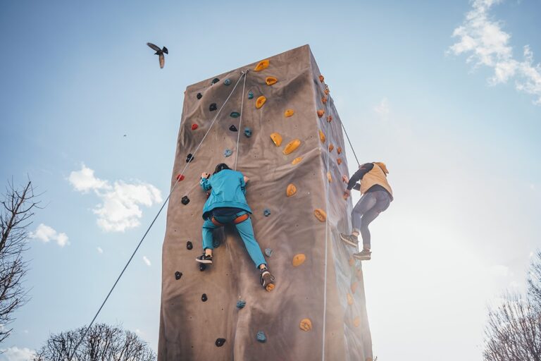 Turn de căţărat în grădina de la Palas, în acest weekend