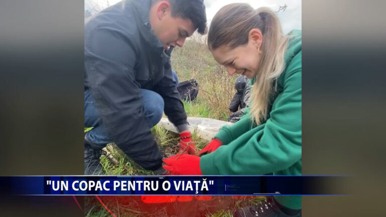 „UN COPAC PENTRU O VIATA”