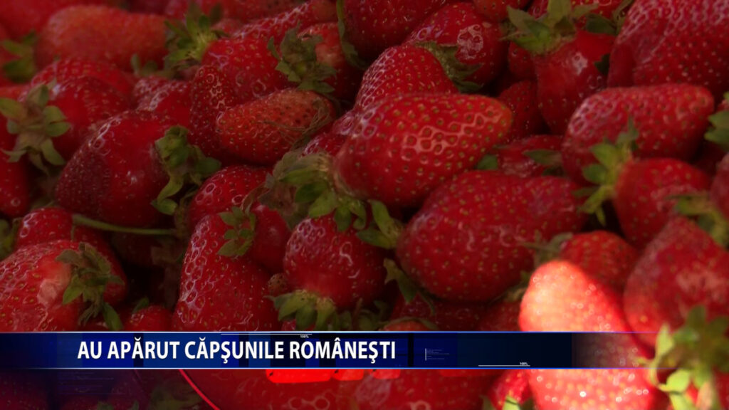 Au aparut capsunile romanesti