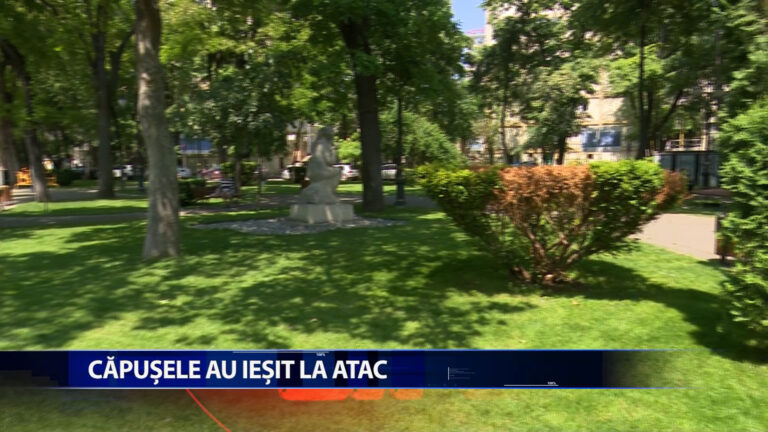 CAPUSELE AU IESIT LA ATAC