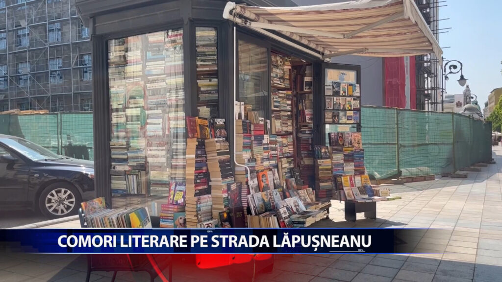 COMORI LITERARE PE Strada LAPUSNEANU