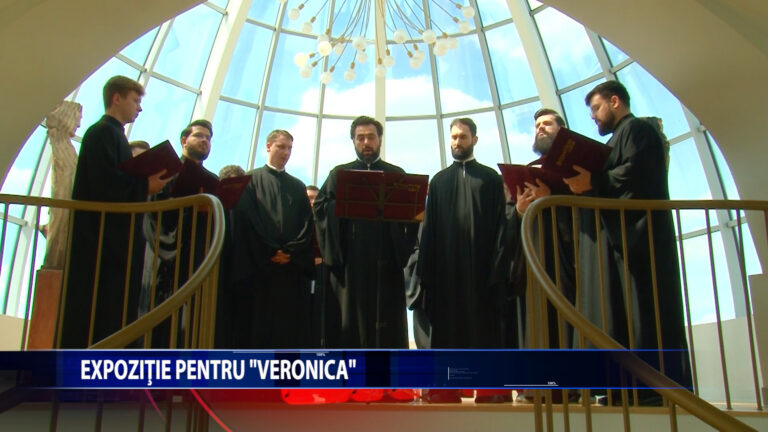 EXPOZITIE PENTRU „VERONICA”