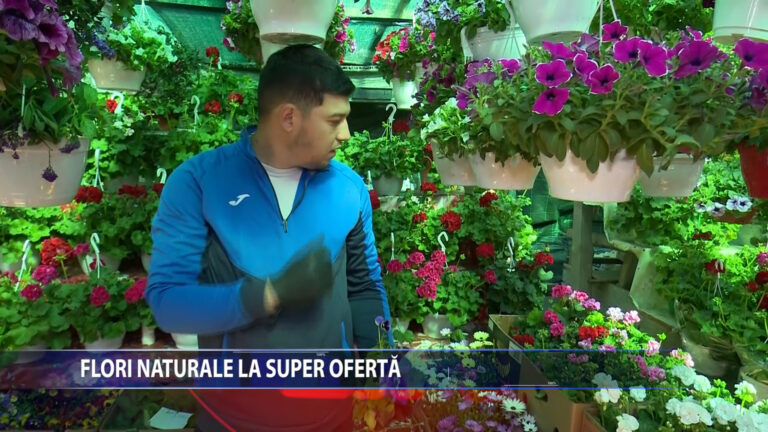 FLORI NATURALE LA SUPER OFERTA