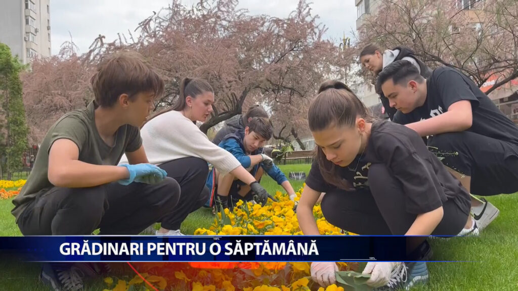 GRADINARI PENTRU O SAPTAMANA