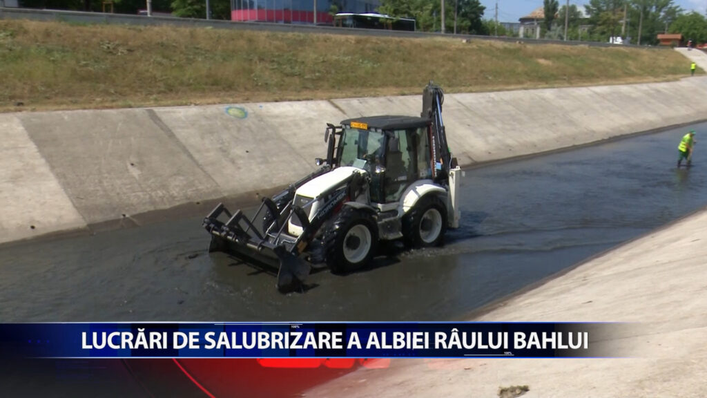 Lucrari de salubrizare a albiei Bahluiului