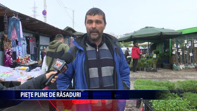 Piete pline cu rasaduri
