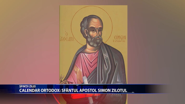 Sfintii zilei