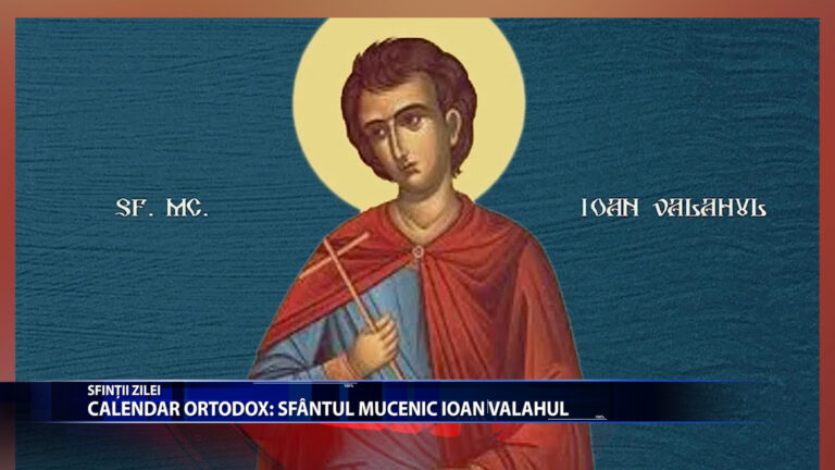 Sfintii zilei