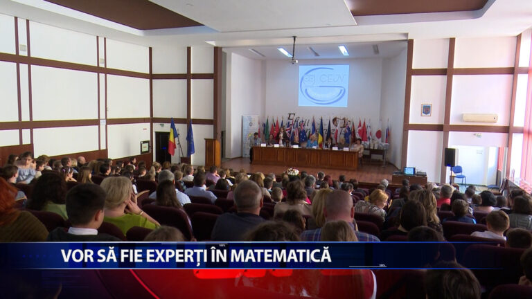 VOR SA FIE EXPERTI IN MATEMATICA