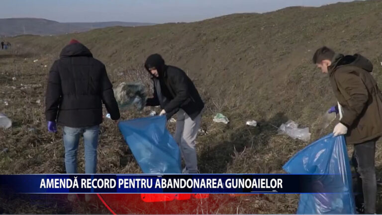 AMENDA RECORD PENTRU ABANDONAREA GUNOAIELOR