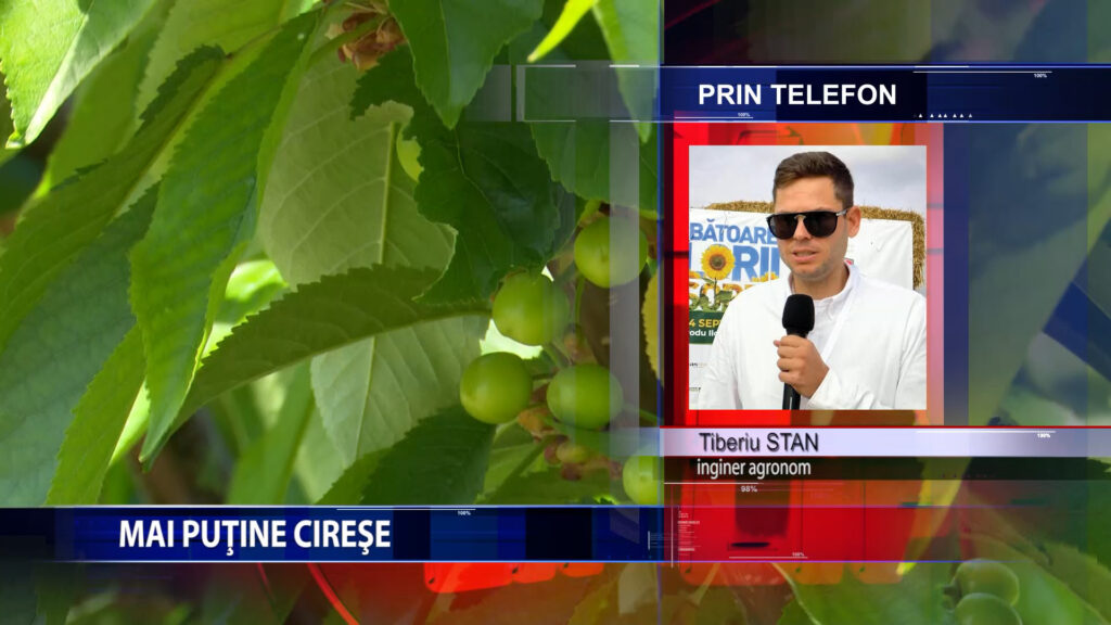Mai putine cirese