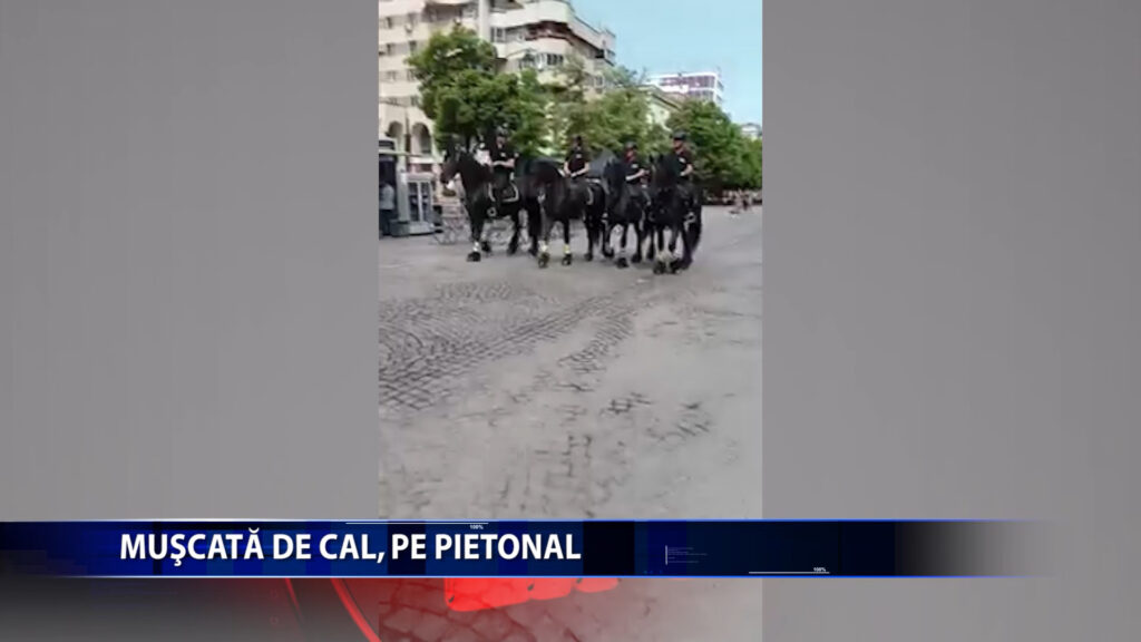 Muscata de cal, pe Pietonal