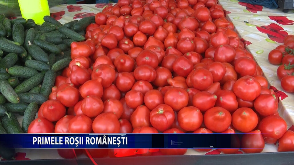 PRIMELE ROSII ROMANESTI