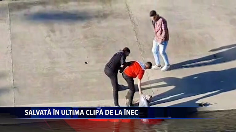 Salvata in ultima clipa de la inec