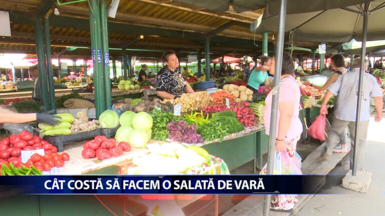 CAT COSTA SA FACEM O SALATA DE VARA