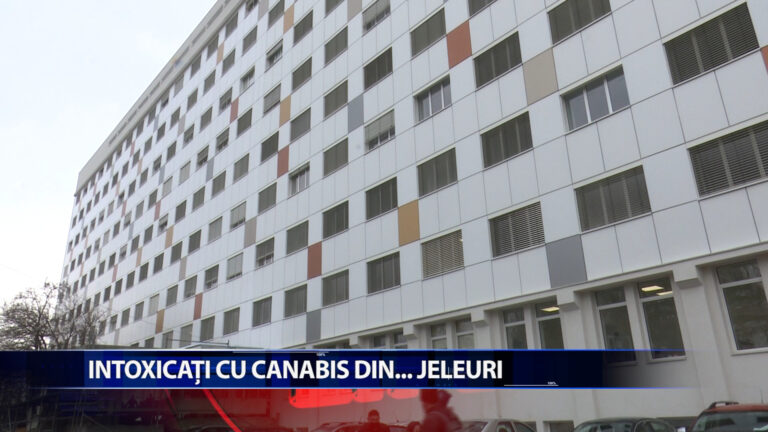 INTOXICATI CU CANABIS DIN… JELEURI!