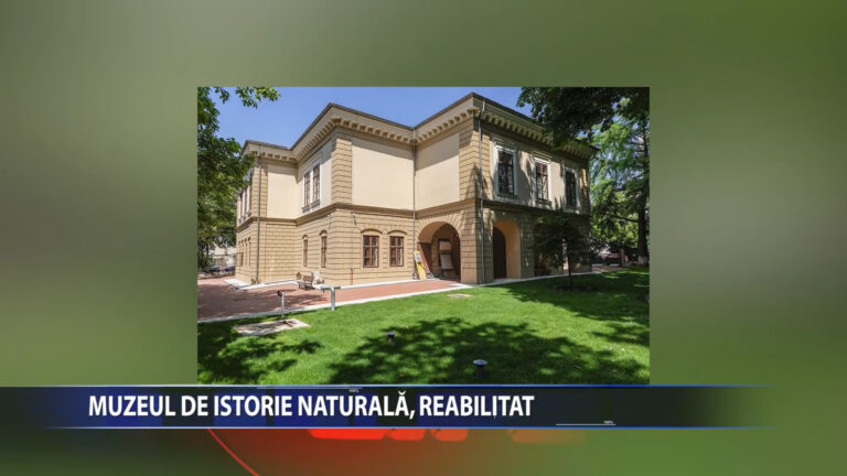 Muzeul de Istorie Naturala, reabilitat