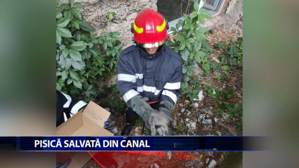 PISICA SALVATA DIN CANAL