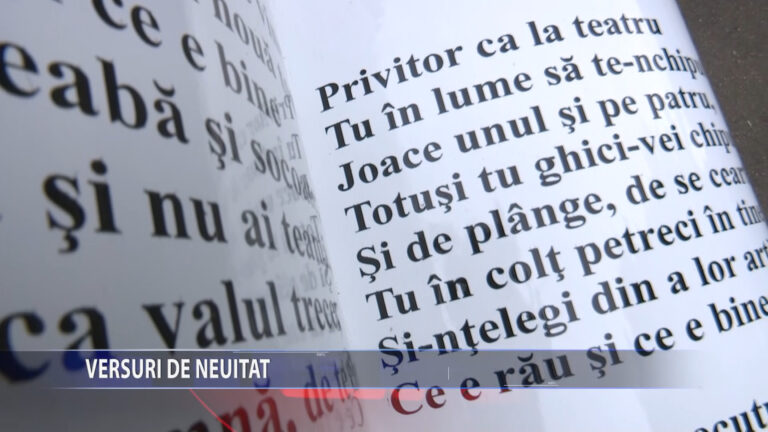 Versuri de neuitat