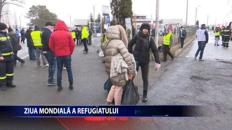 Ziua mondiala a refugiatului