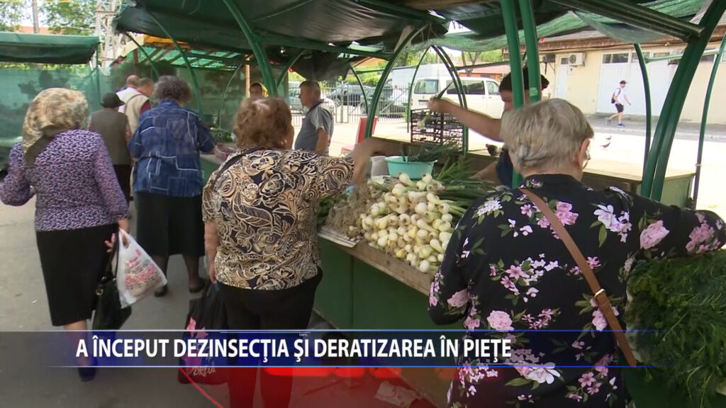 Actiunea DDD in pietele din Iasi