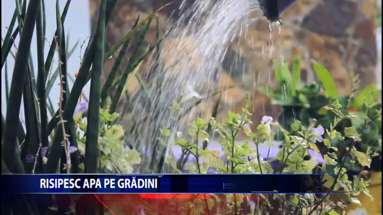 Risipesc apa pe gradini