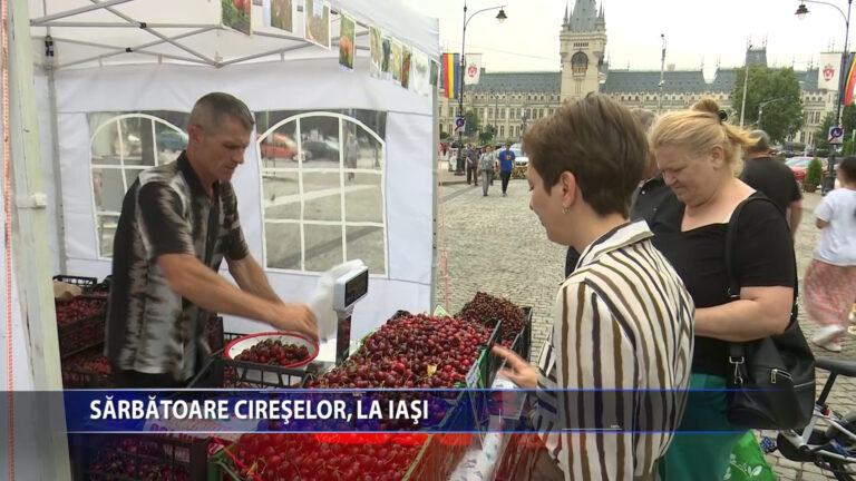 Sarbatoarea cireselor, la Iasi