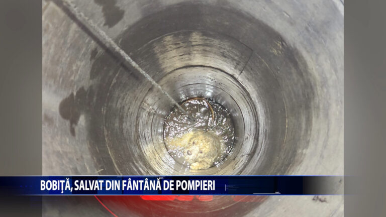 Bobita, salvat din fantana de pompieri