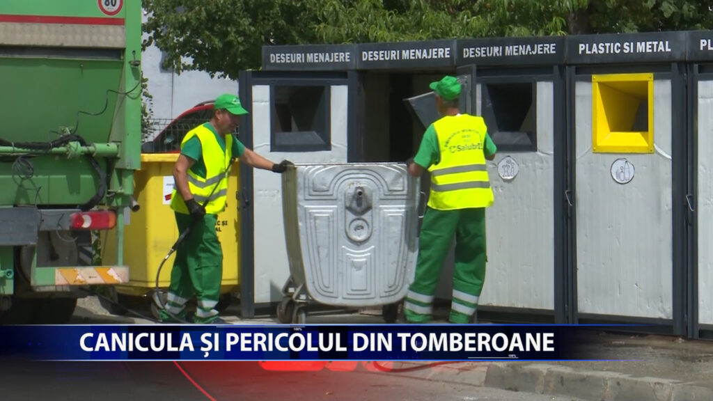 Canicula topeste pana si gunoaiele