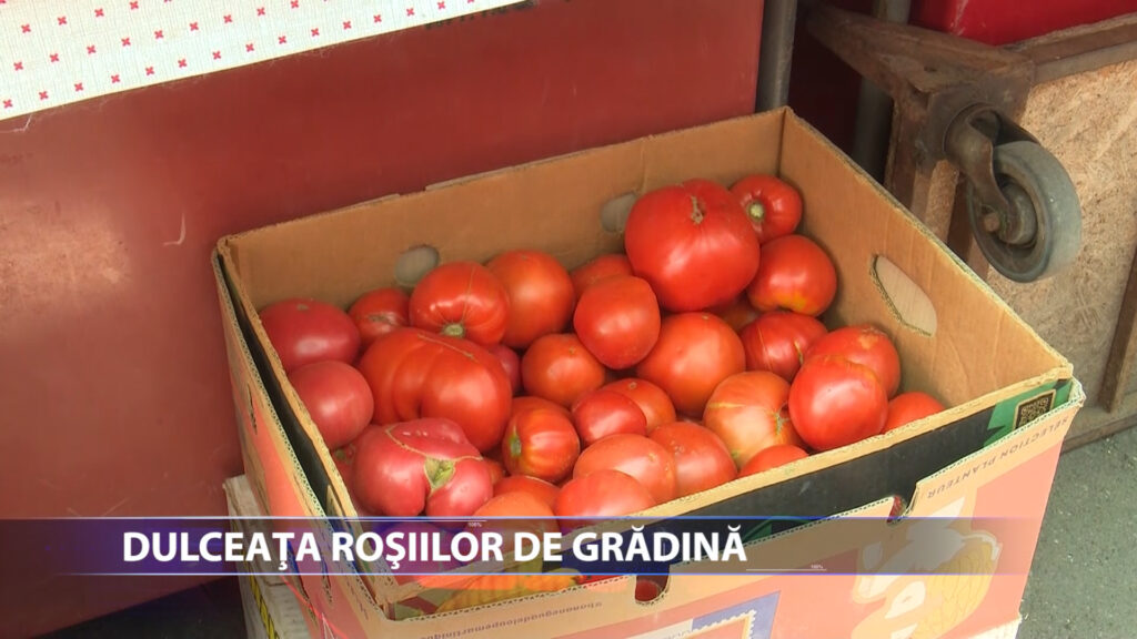 Dulceata rosiilor de gradina