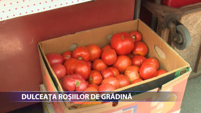 Dulceata rosiilor de gradina
