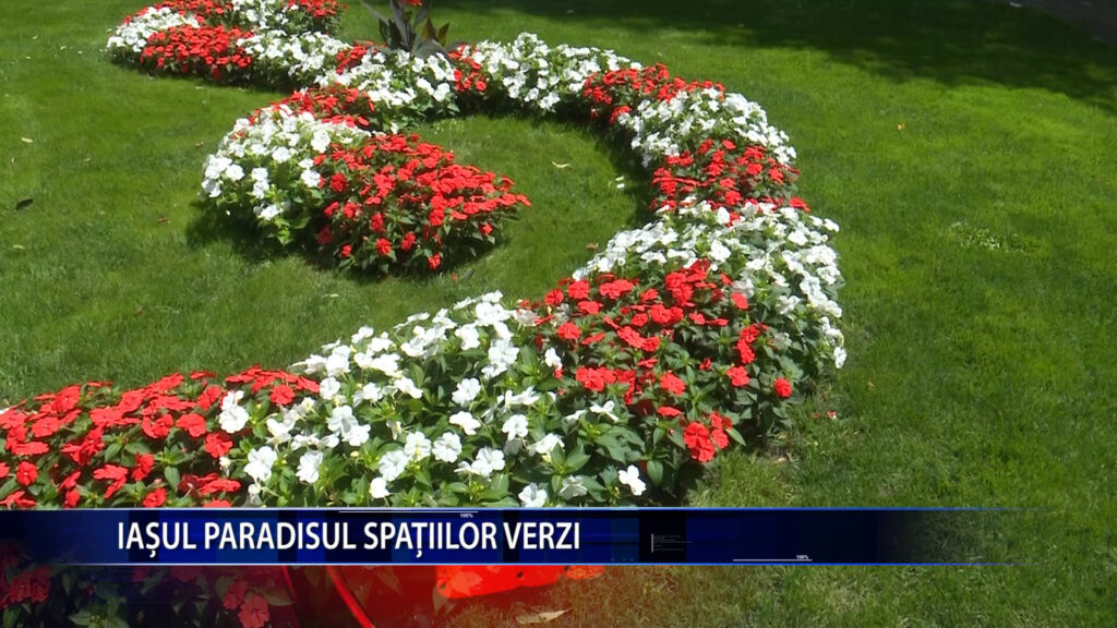 Iasul, paradisul spatiilor verzi