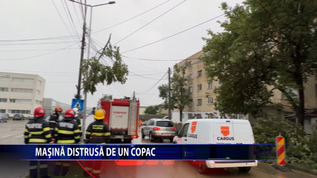 Masina distrusa de un copac