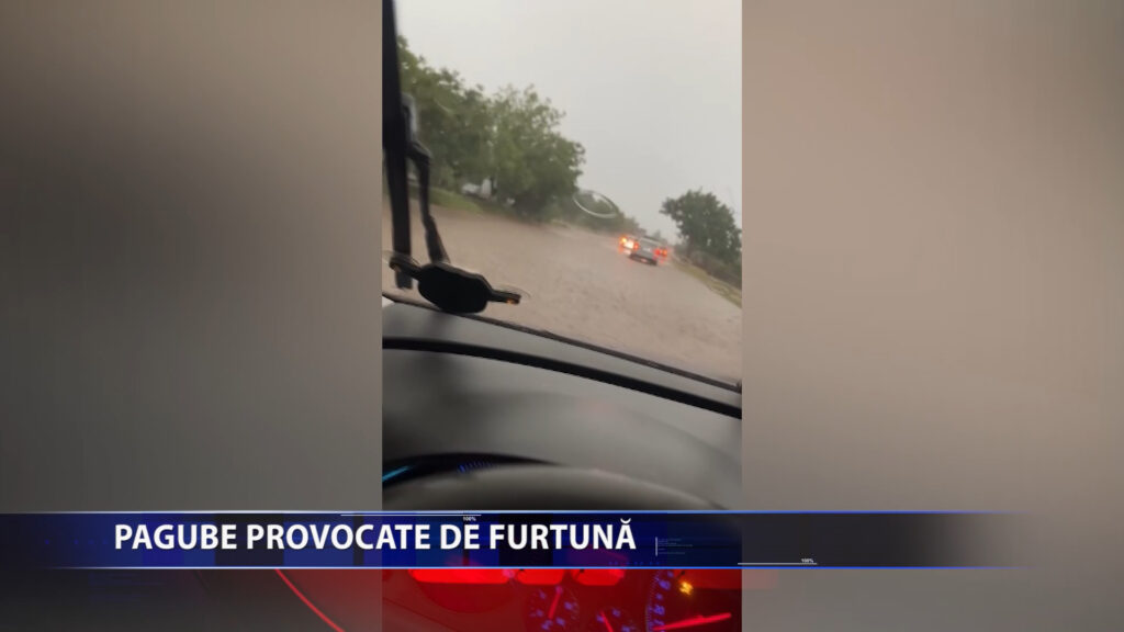 PAGUBE PROVOCATE DE FURTUNA
