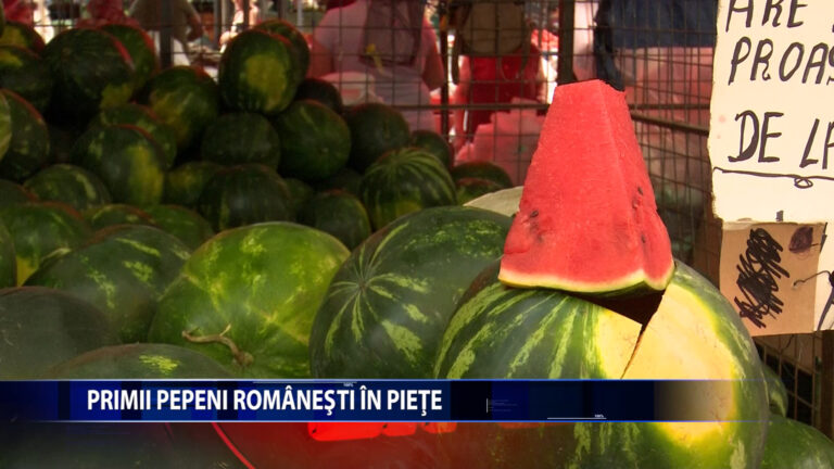 Primii pepeni romanesti in piete