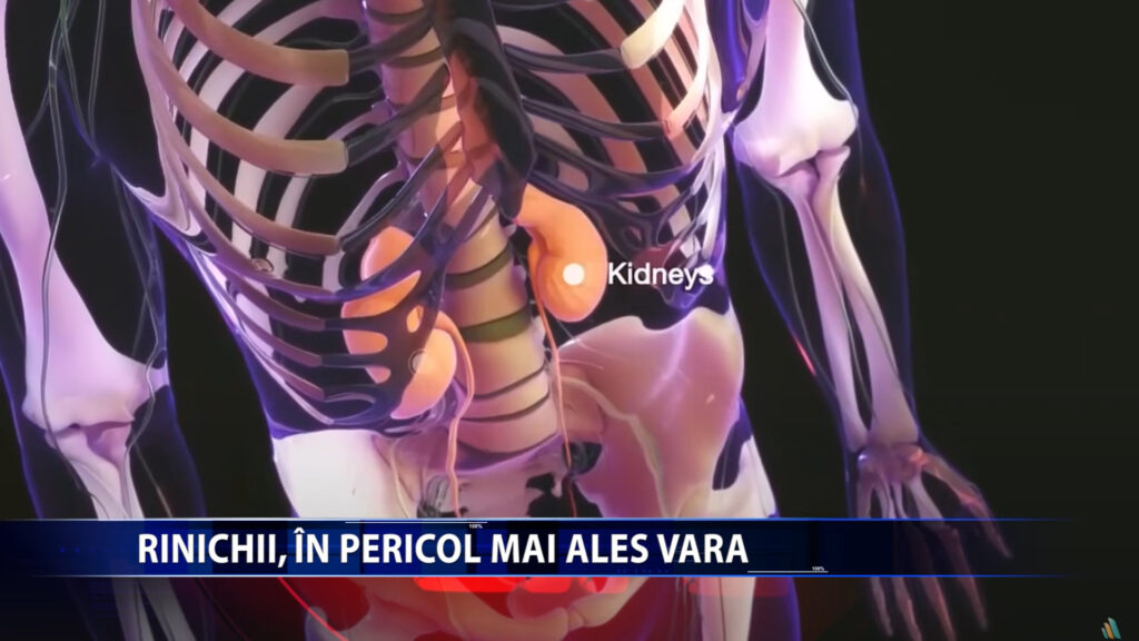 RINICHII, IN PERICOL MAI ALES VARA