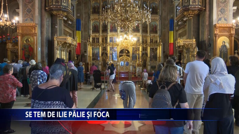 Se tem de Ilie Palie si Foca