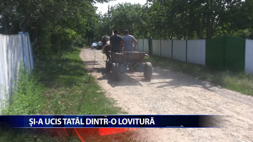 Si-a ucis tatal dintr-o lovitura