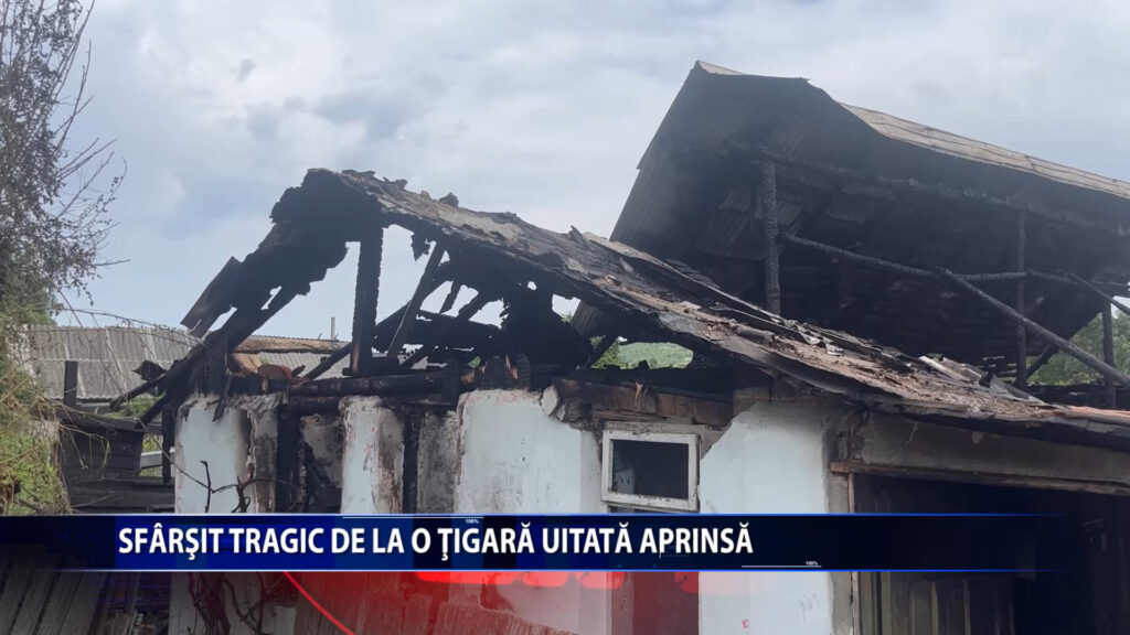 SFARSIT TRAGIC DE LA O TIGARA UITATA APRINSA