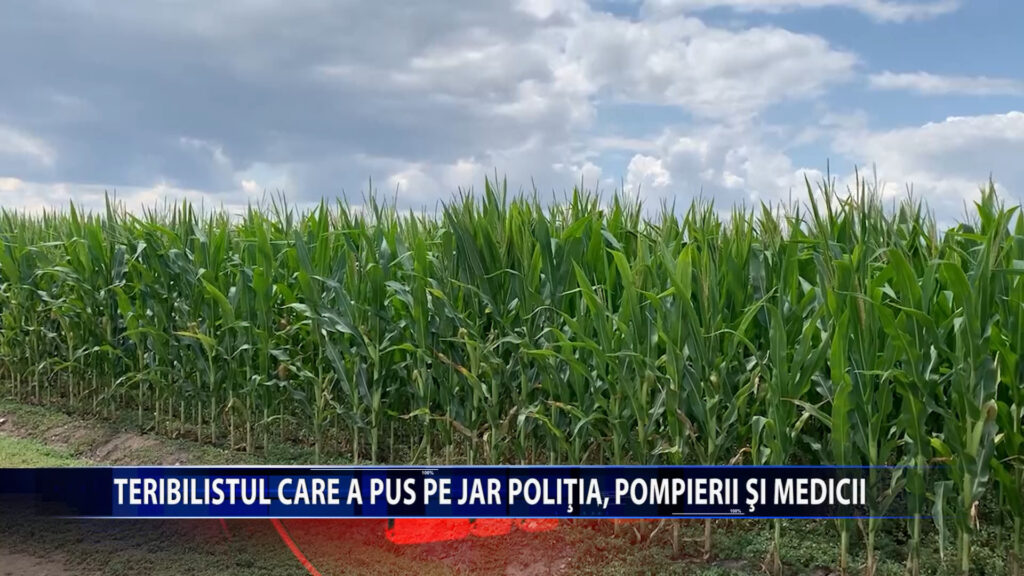 Teribilistul care a pus pe jar Politia, pompierii si medicii