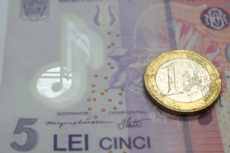Euro va trece de 5 lei în următorul an iar inflaţia va fi de 8,21%, estimează analiștii CFA România