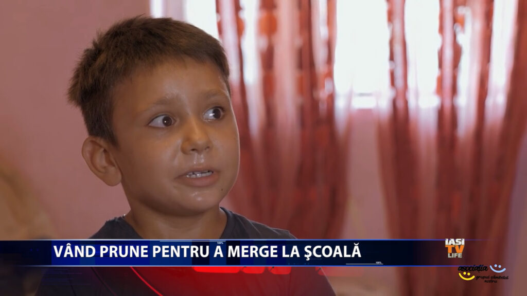 Vand prune pentru rechizite scolare