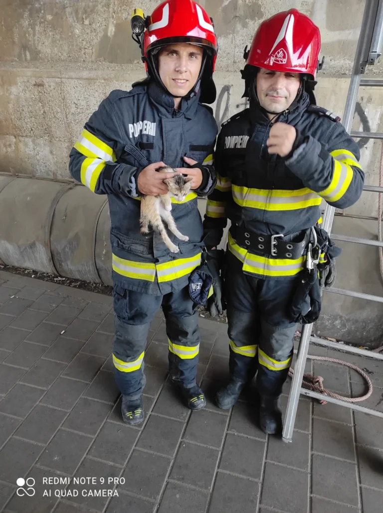 VIDEO! Pompierii ieşeni au salvat o pisică blocată pe un stâlp de pod
