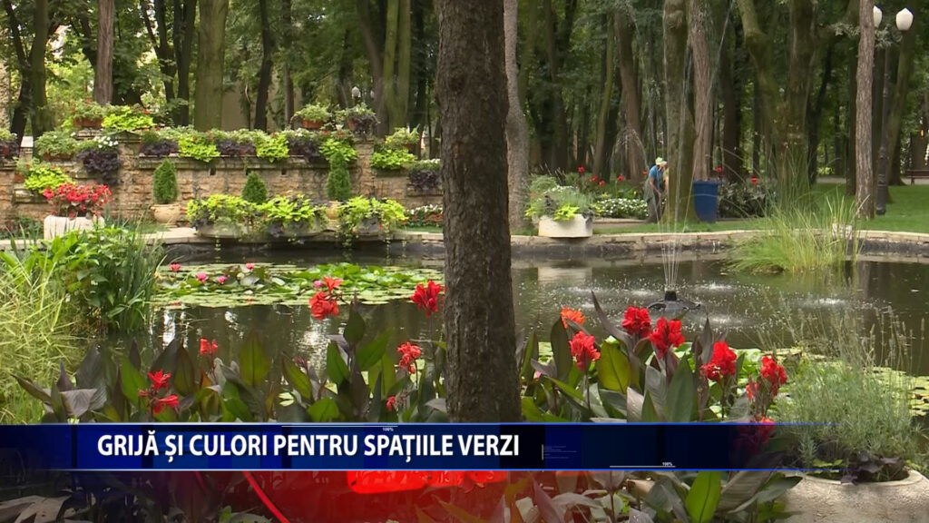 Grija si culori pentru spatiile verzi