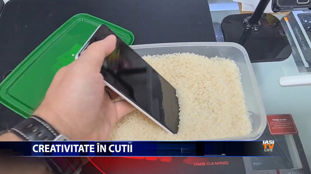 CREATIVITATE IN CUTII