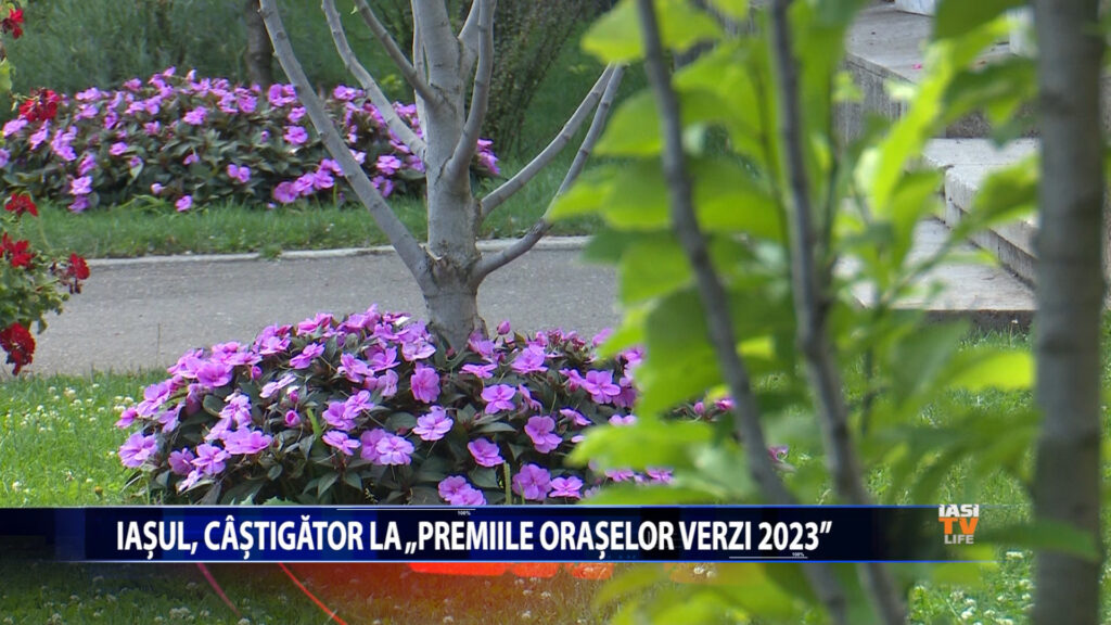 Iasul, castigator la „Premiile oraselor verzi 2023″