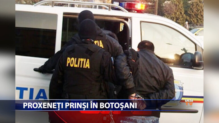 Proxeneti prinsi in Botosani