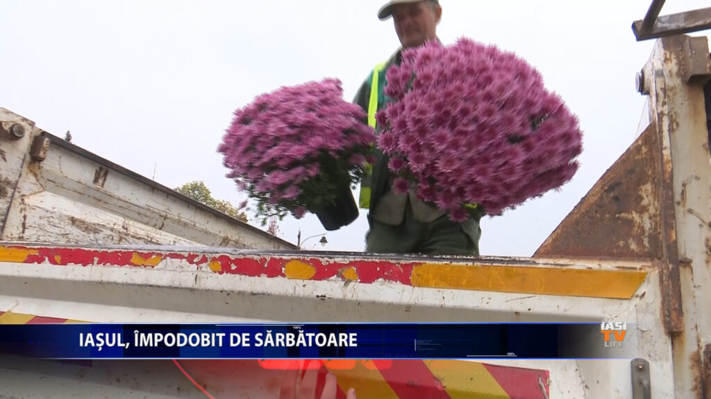 IASUL, IMPODOBIT DE SARBATOARE