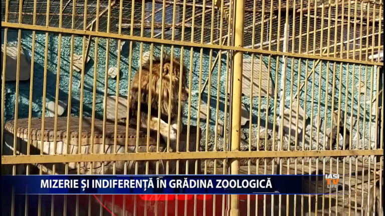 Mizerie si indiferenta in gradina zoologica