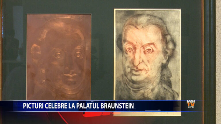 Picturi celebre la Palatul Braunstein
